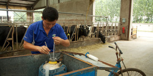 02.03.12_-_China_farms